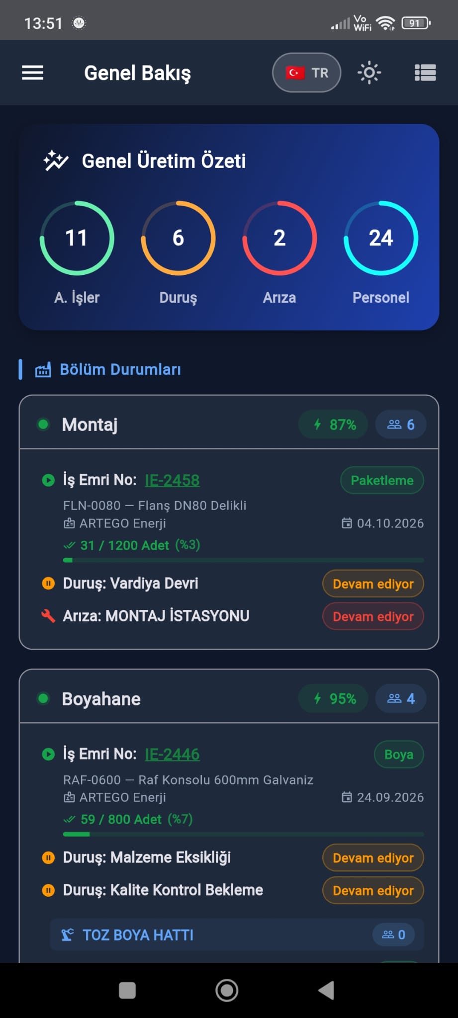 Genel bakış