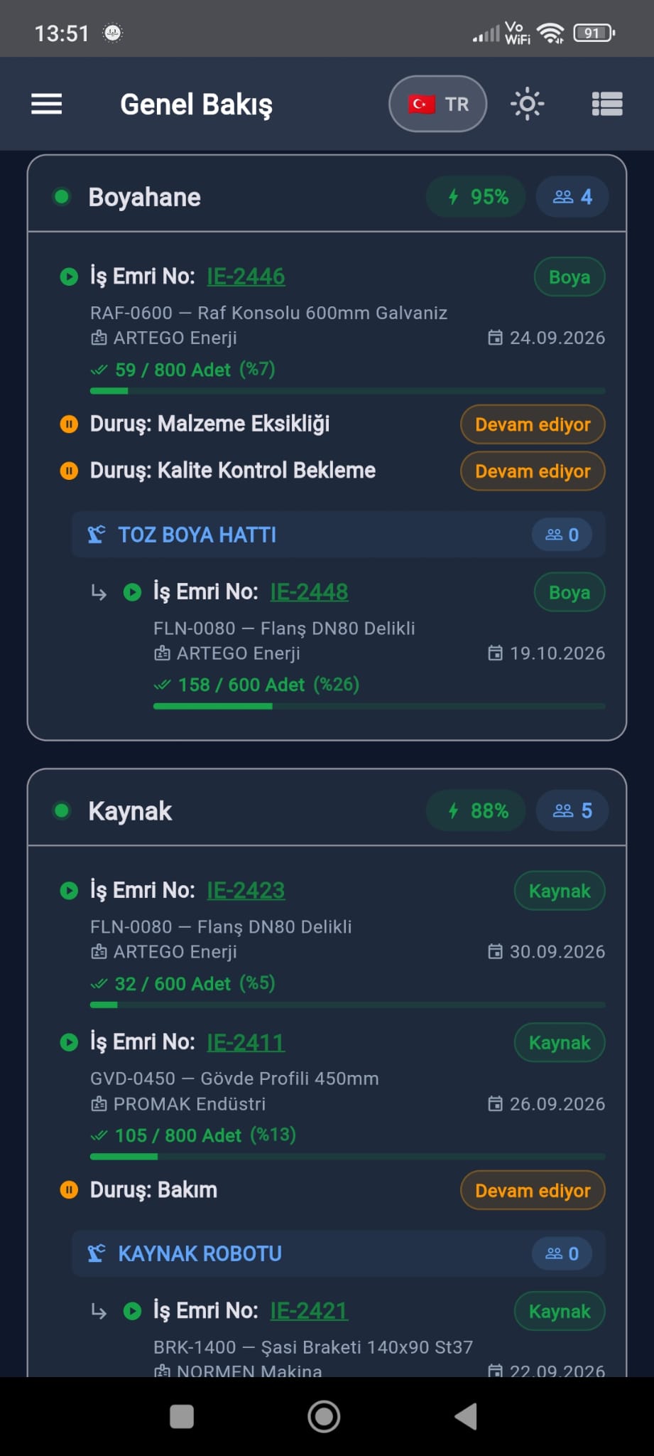 Genel bakış 2